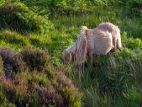 Isle of South Uist